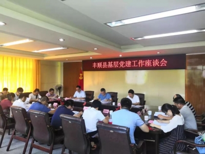 如何做好丰顺基层党建工作？这里有答案