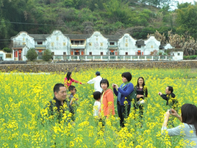 梅县区：“六个大抓”“四个筑牢”推动经济发展