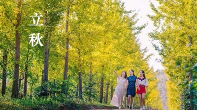 今日立秋丨岁岁秋风起，今秋尤不同