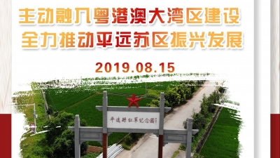 上半年成绩如何？下半年怎样行动？一图读懂平远县委全会报告