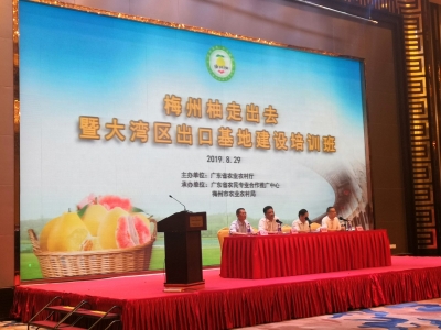 梅州柚如何走出去？来看在梅举办的这个培训班