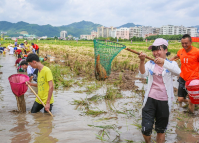 梅县区建立稻鱼共生产业链：实现农旅文融合发展