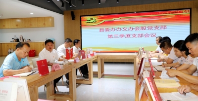 吴晖参加五华县委办办文办会股党支部第三季度支部会议