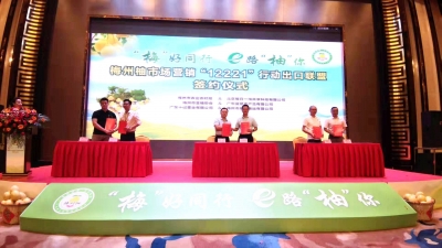 e路“柚”你！今天，梅州柚“12221”产销对接活动启动