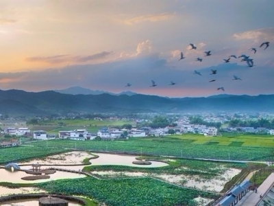 学习笃行丨加强服务引导  打造长寿梅州