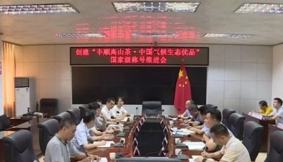 丰顺召开创建“丰顺高山茶·中国气候生态优品”国家级称号推进会 