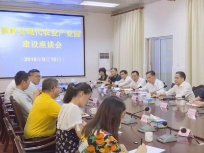 蕉岭召开现代农业产业园建设座谈会：深化合作，推动农业农村高质量发展