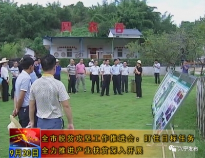 盯住目标任务，兴宁全力推进产业扶贫深入开展