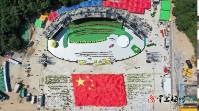 聚焦政府工作报告丨办好中国农民丰收节、广东茶叶产业大会等活动