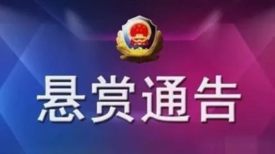 鼓励举报！单宗奖励最高50万！五华法院首次发布执行悬赏公告！