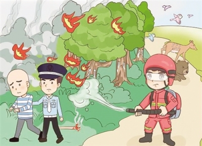 丰顺一男子上山扫墓“引火上身”，拘役5个月