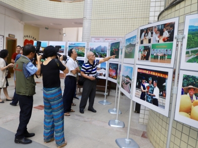 欢迎来品！梅县区美术书法摄影作品展开幕