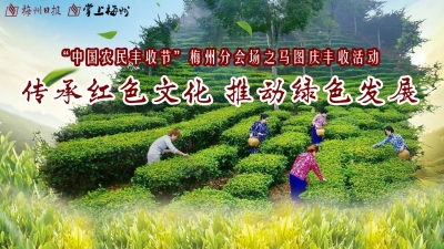 直播回顾| 高山茶农话丰收！“中国农民丰收节”梅州分会场之大美马图约定你