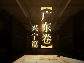 你被震撼到了吗？《中国影像方志•广东卷•兴宁篇》激起热烈反响