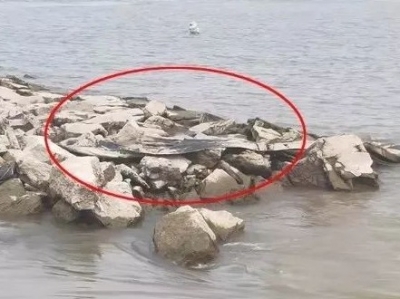 “三峡水怪”惊现池州？原是黑色遮阳网