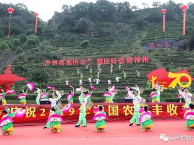 会写书法，还会茶艺...五华提线木偶戏“现身”丰收节