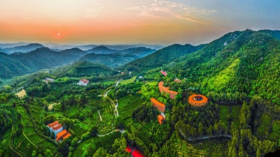 9月起，60岁以上老人可免费游雁南飞、桥溪古韵！