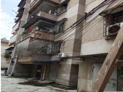 创文“排头兵”是怎样炼成的？来听听他们分享经验