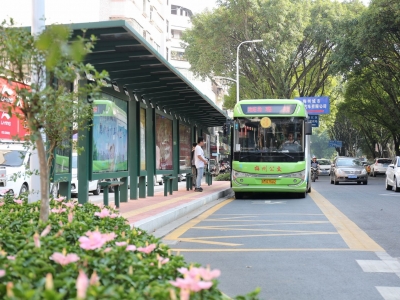 茶座丨创建安全文明交通环境助力创文