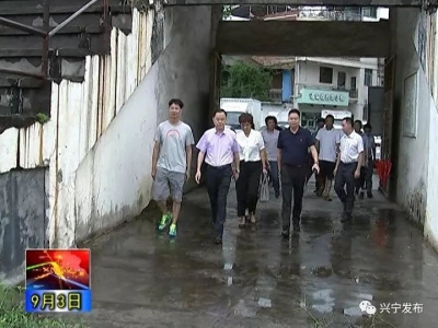 洪国华调研足球运动和体育工作：抓好青训，振兴兴宁足球