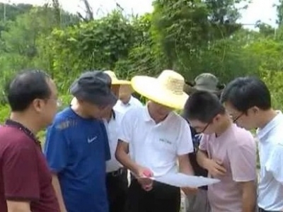 古驿道如何“重焕生机”？他们来到大埔“把脉开方”