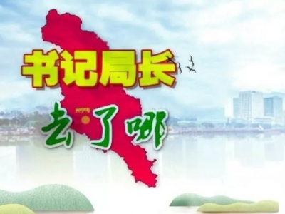 兴宁各镇党委书记、各局局长上周在忙什么？ ​