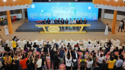 共品梅州嘉应茶 共话茶业发展路！首届中国梅州国际茶业精英峰会开幕