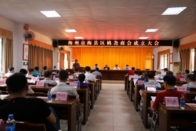 梅县区桃尧商会成立！