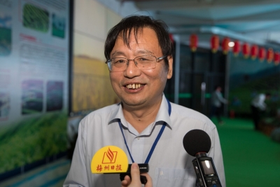 专家品茗论鉴丨开发优良品种产出正宗好茶！杨亚军如是说...