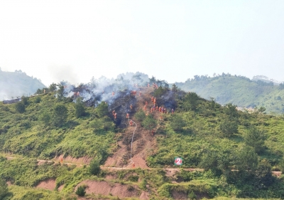 真实感！防范于未“燃” ，全市森林火灾应急实战演练进行时...