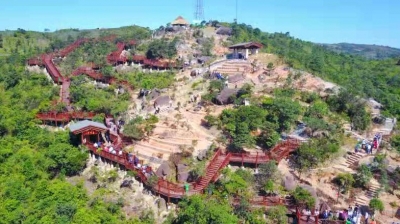 丰收喜悦丨蔡军：一系列茶的历史将在这里书写