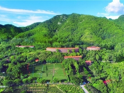 温助民到雁南飞茶田景区调研：对标对表狠抓整改，擦亮A级景区名片