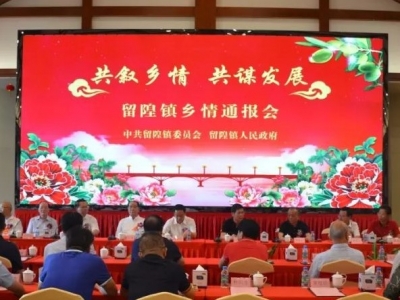丰顺留隍举行乡情通报会，首届橄榄文化节同步启动