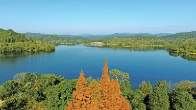 “绿”入人心！展大美平远“高颜值”，现精致小城“深内涵”