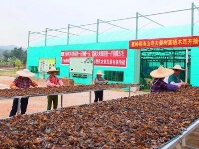 学习笃行丨从三方面发力壮大集体经济