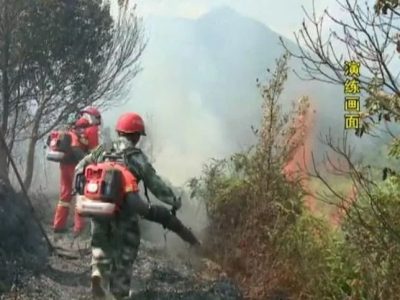 大埔举行森林防灭火实战演练