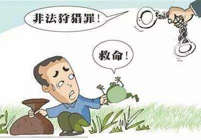 禁猎期持枪猎捕国家保护动物，一男子被丰顺法院判刑