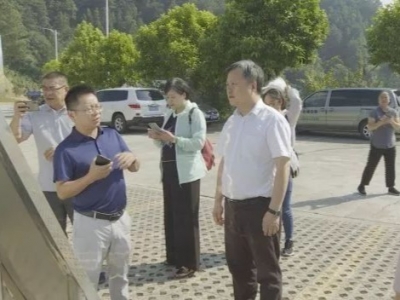 潘灿平一行到大埔调研