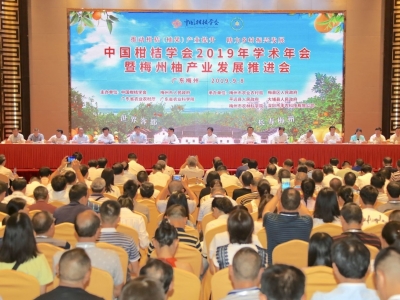 为“柚”而来！大咖们为梅州柚把脉开方，上演“头脑风暴”