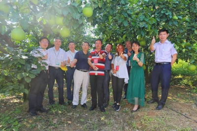 “柚”你真好！今天下午，大咖们在这里把脉梅州柚发展情况