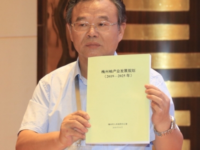 梅州柚产业如何发展？《规划》今天发布，四大发展区域十大重点工程...