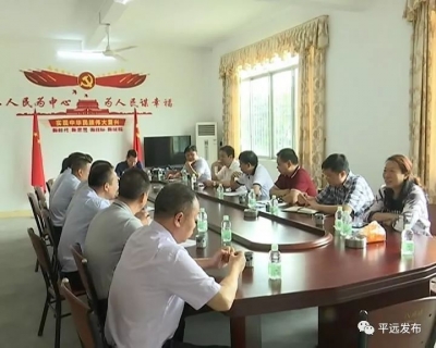 宋才华率队到八尺镇调研：打造具有客家特色、环境整洁的省际“北大门”