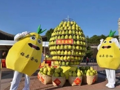 “柚”来找你当代言，百位金柚大使招募ing！