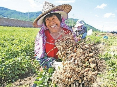 梅县绿茶、大埔乌龙茶、平远东石花生，入选2019全国名特优新名录！