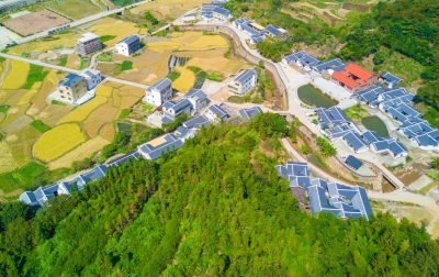 风吹麦浪、田园如画...美丽了，我的客都乡村~