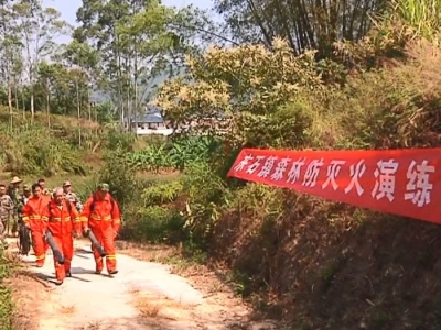 筑牢森林“防火墙”，平远防患于未“燃”！