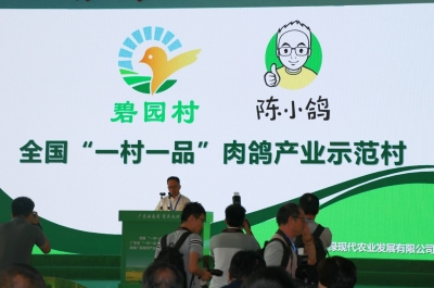 兴宁“陈小鸽”火了！经验向全国推广，还要打造行业标杆