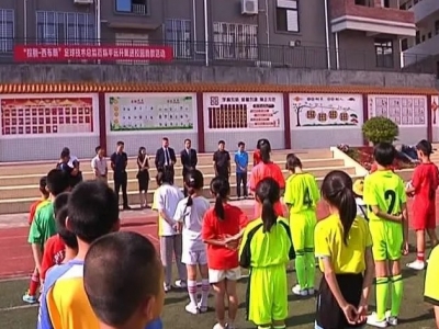 “棕榈—西布朗”足球技术总监到平远开展校园助教活动