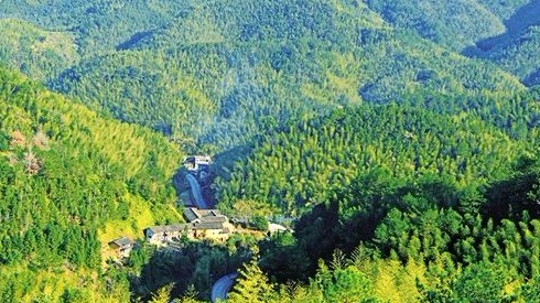 梅州实施这个补偿制度20年：这一片青山如此绿意动人