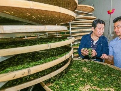 梅州14镇入选省“一村一品、一镇一业”专业镇！这村镇不光有颜，还有“料”